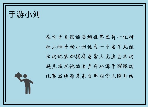 手游小刘